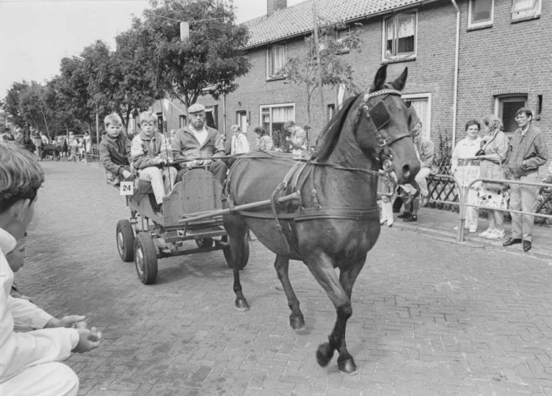 Paardenmarkt 1986