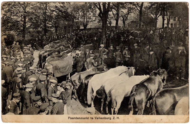 Paardenmarkt