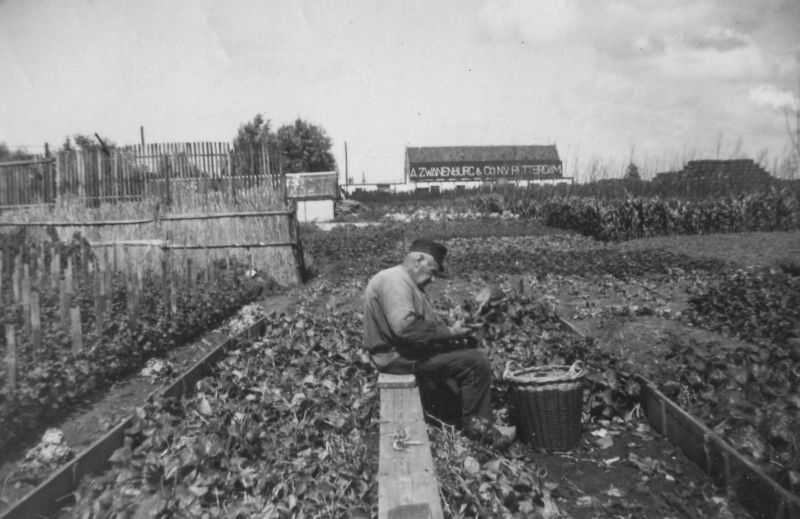 Land- en tuinbouw en veeteelt