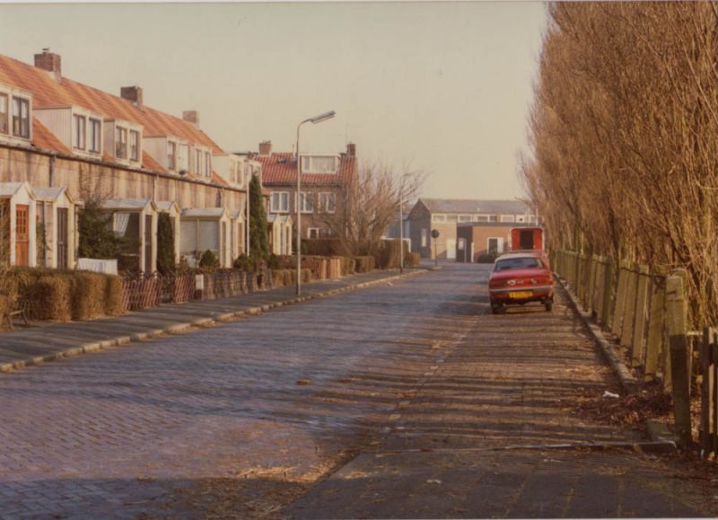 Kroniek van 1981