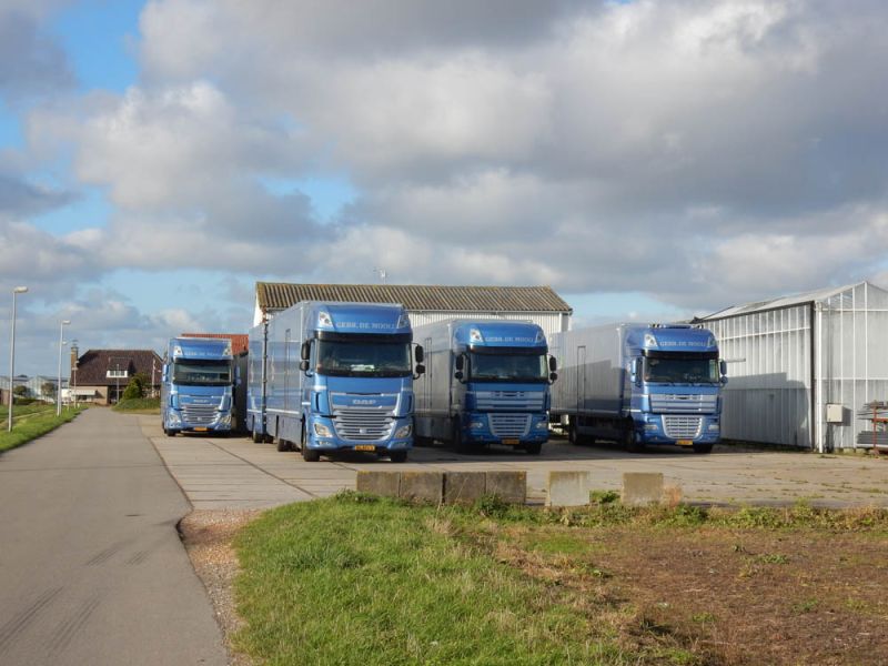 Kwekerij en bloementransport, Gebr. de Mooij