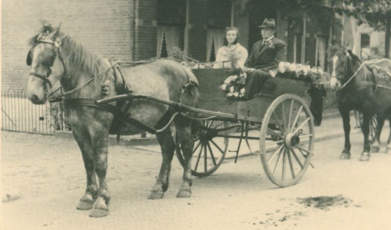 Ringrijden met tilbury's