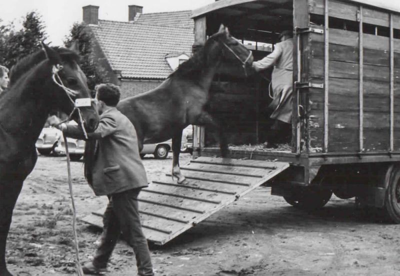 Paardenmarkt 1962