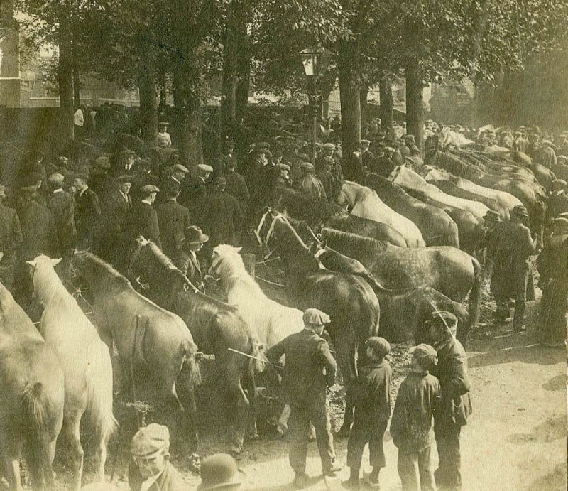 Paardenmarkten door de tijden heen.