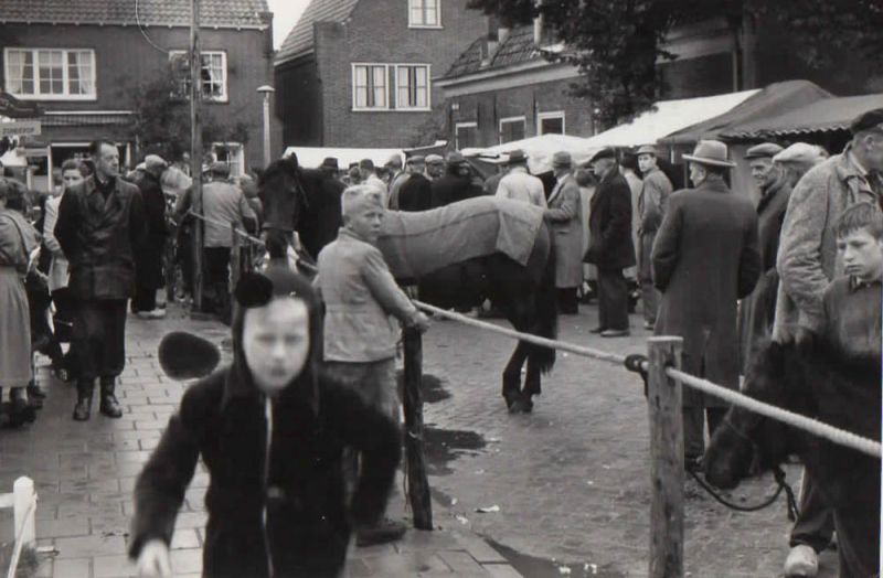 Paardenmarkt 1955