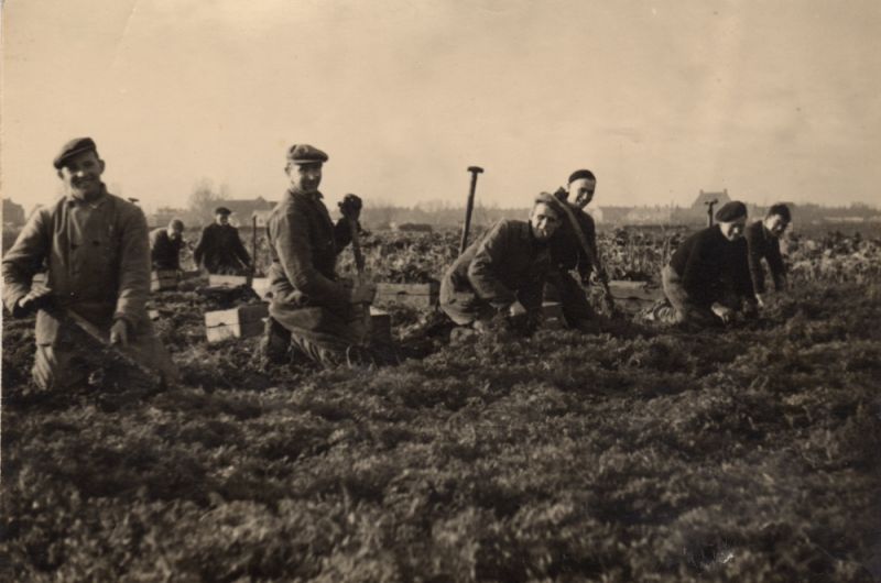 Bloemenkwekerij M. Koppert 