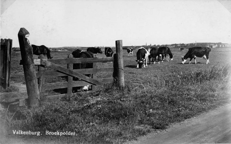 Broekpolder