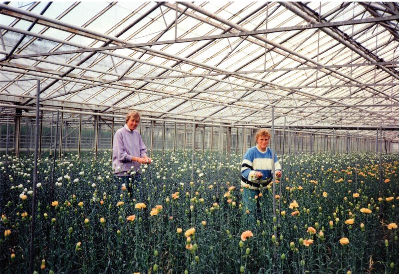 Bloemenkwekerij de Vries