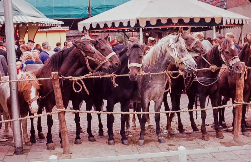 Paardenmarkt 1963