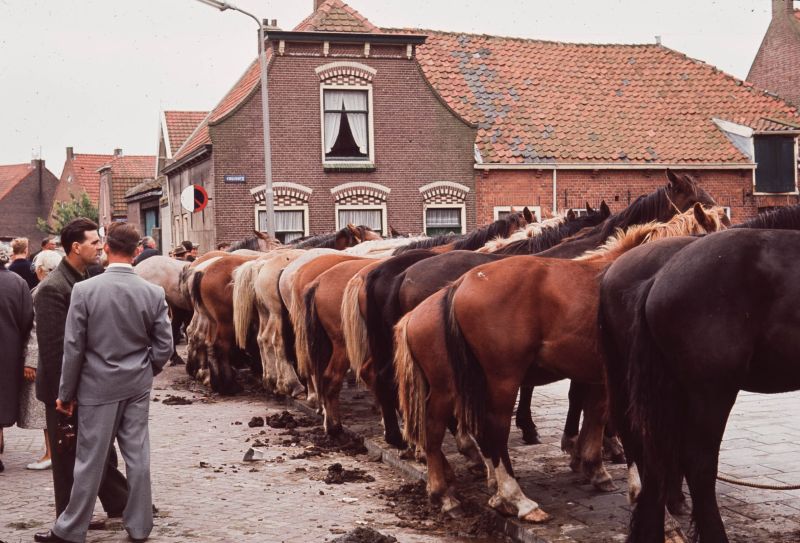 Paardenmarkt 1965