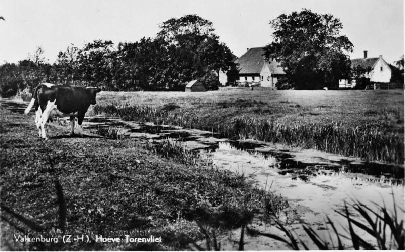 Hoeve Torenvliet (vh van Leeuwen)