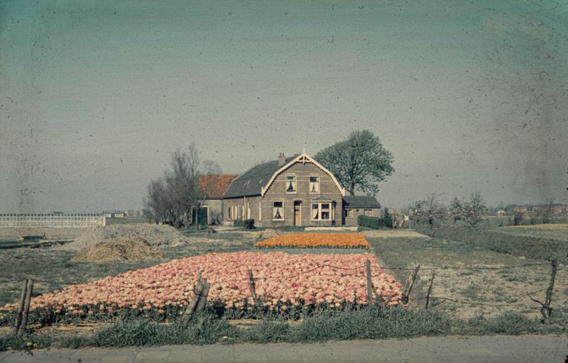 Boerderij (vh Barnhoorn) ingang aan de Hoofdstraat