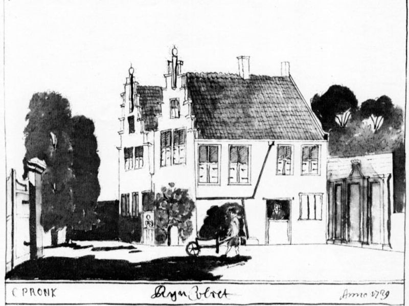 Rhynvliet anno 1729 van Cornelis Pronk