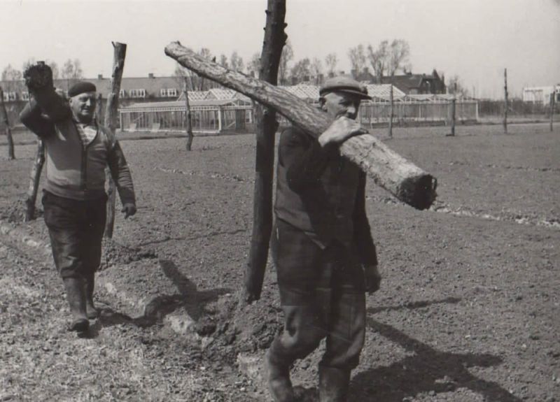 Windscherm maken