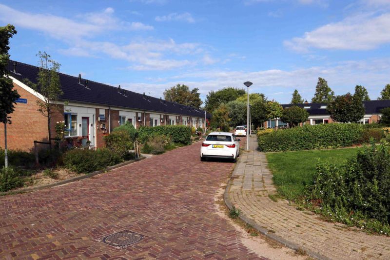 Het Zwammerveld