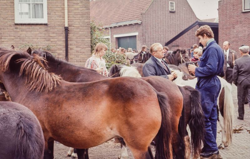 Paardenmarkt 1972