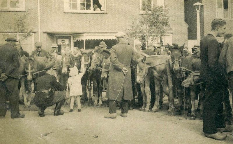 Paardenmarkt 1949