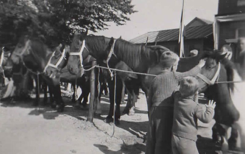 Paardenmarkt 1948